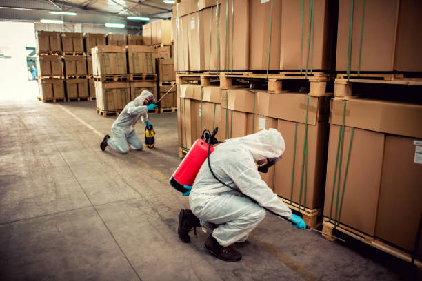 Best Residential Pest Control  in Gambrills, MD
