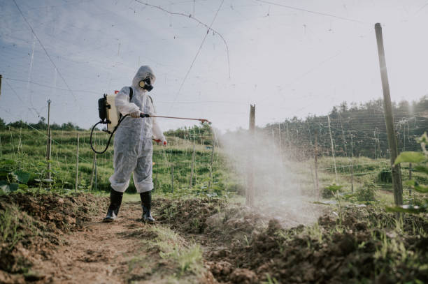 Best Affordable Pest Control Services  in Gambrills, MD