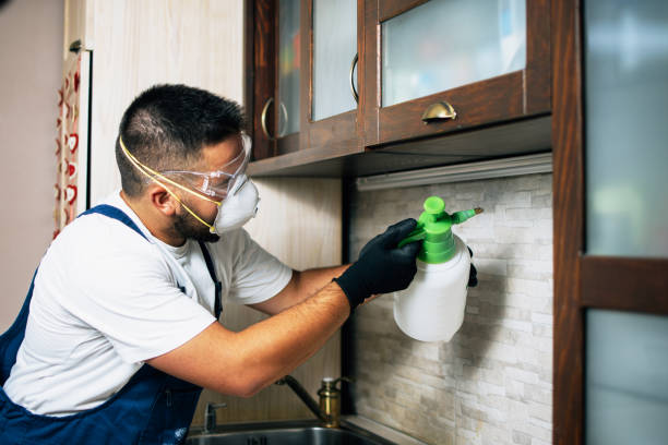 Best Wasp Removal Services  in Gambrills, MD