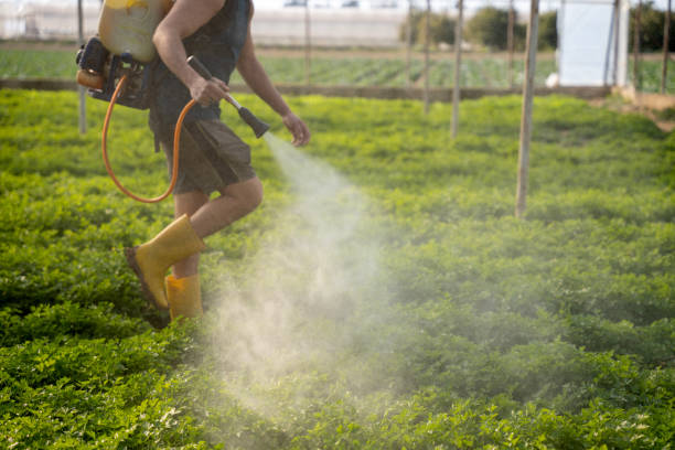 Best Mosquito Control Services  in Gambrills, MD